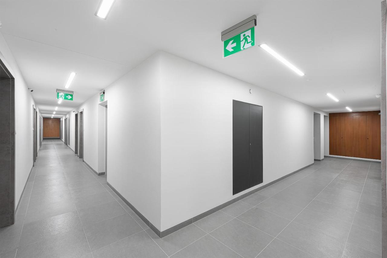 Native Apartments Rajska 3 Kraków Eksteriør billede